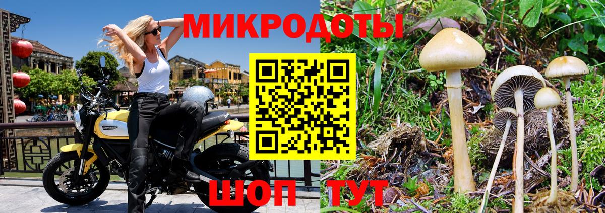 продажа наркотиков  Псилоцибиновые грибы Magic Shrooms  Вход с VPN  Всеволожск 